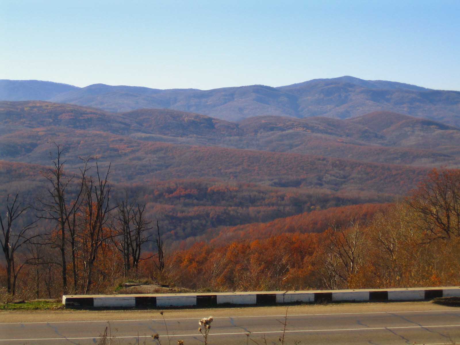 Mountains